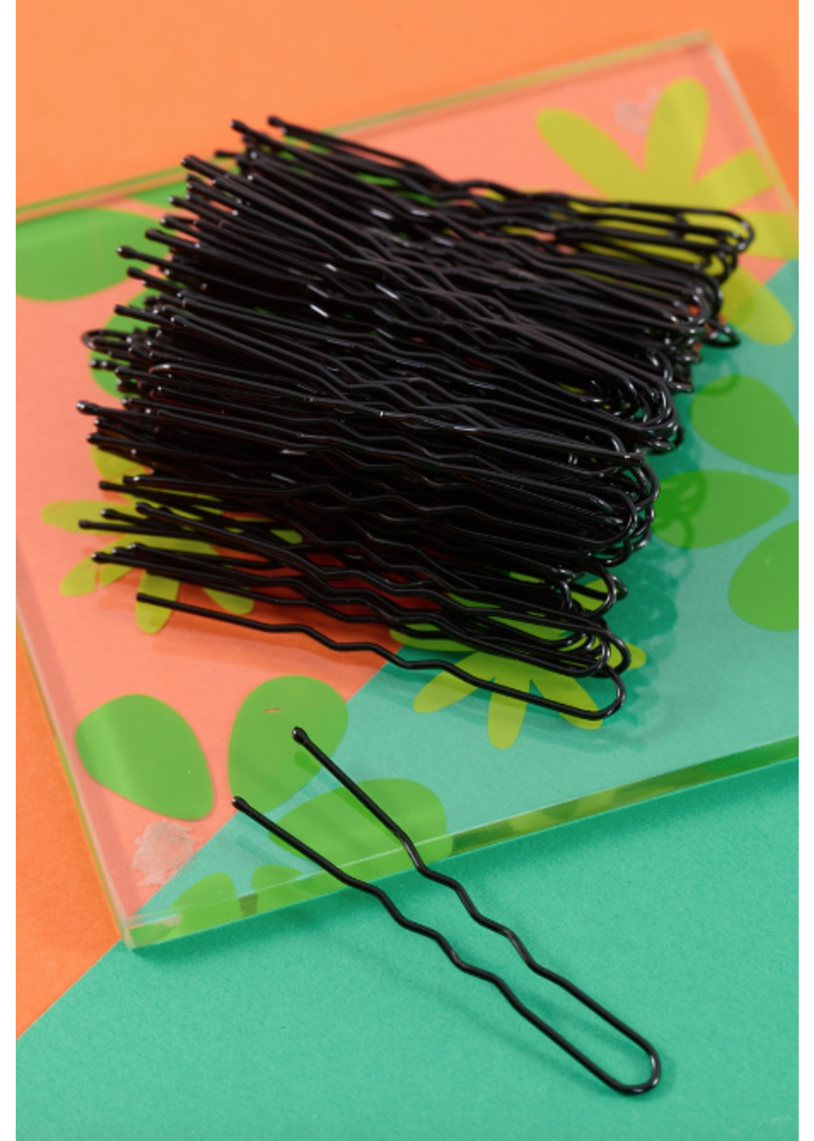 FH2 AZ0029 PACK OF SMALL HAIR PINS