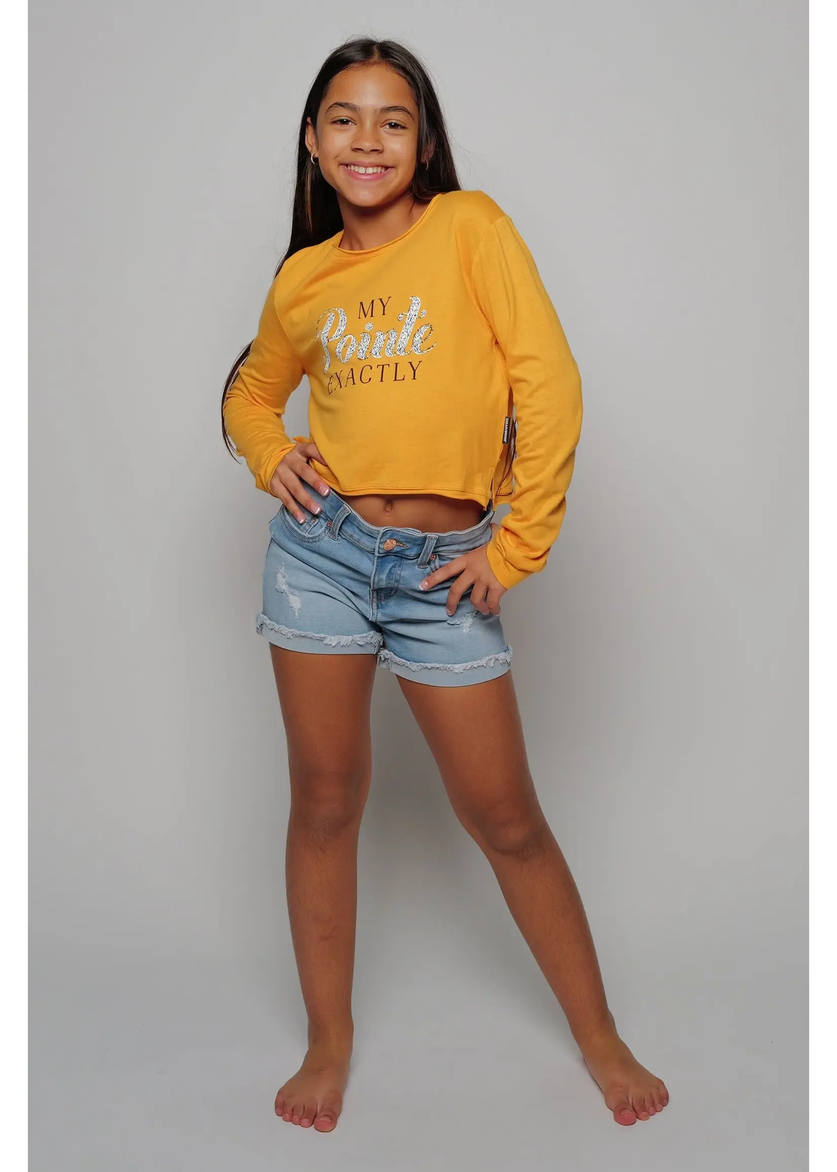 SUGAR & BRUNO F2007 MY POINTE EXACTLY LONG SLEEVE CROP TOP