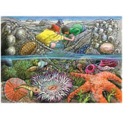 Cobble Hill Puzzles Cobble Hill Exploring the Seashore Tray Puzzle 35pcs