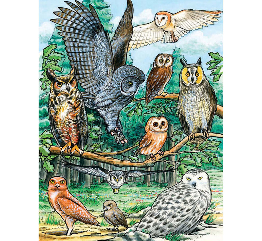 Cobble Hill North American Owls Tray Puzzle 35pcs