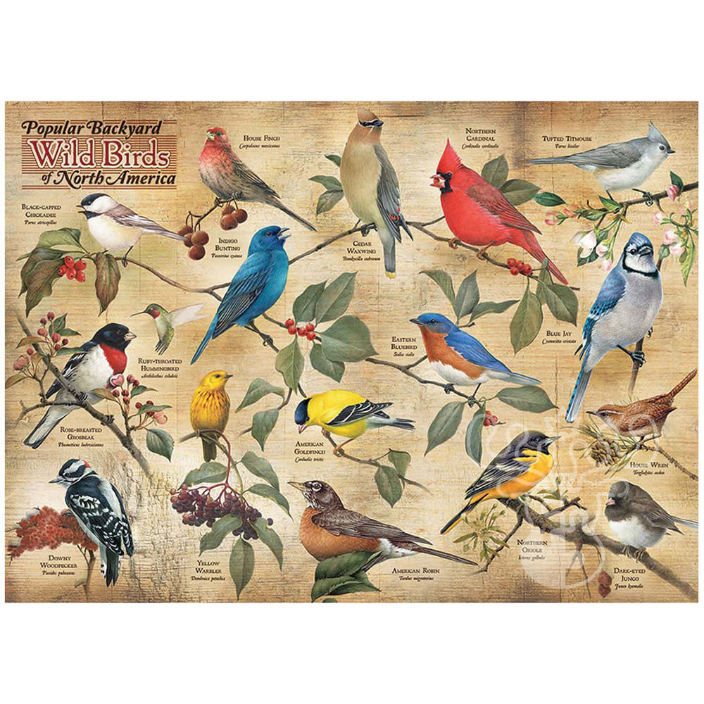 Cobble Hill Popular Backyard Wild Birds of North America Puzzle 1000pcs