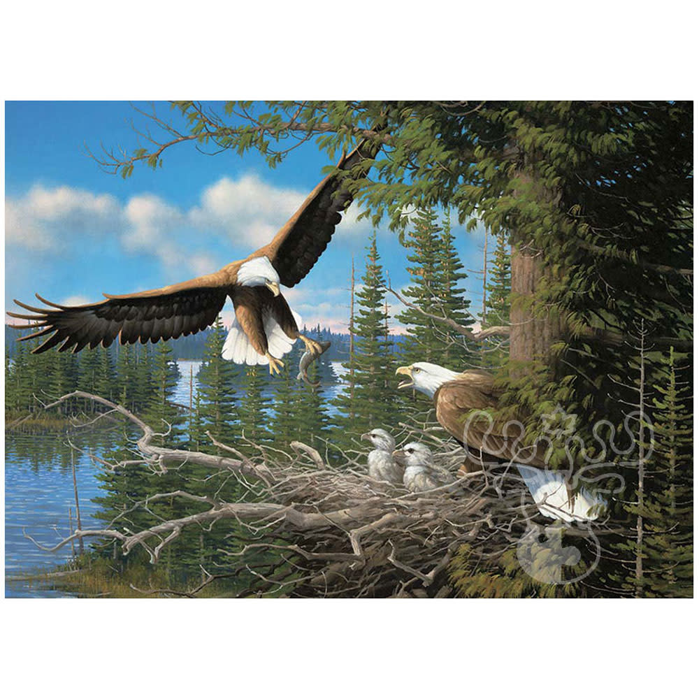 Cobble Hill Nesting Eagles Puzzle 1000pcs Puzzles Canada
