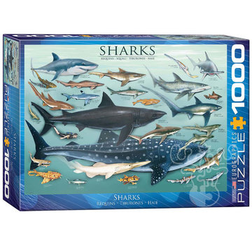 Eurographics Eurographics Chart: Sharks Puzzle 1000pcs