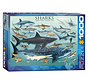 Eurographics Chart: Sharks Puzzle 1000pcs