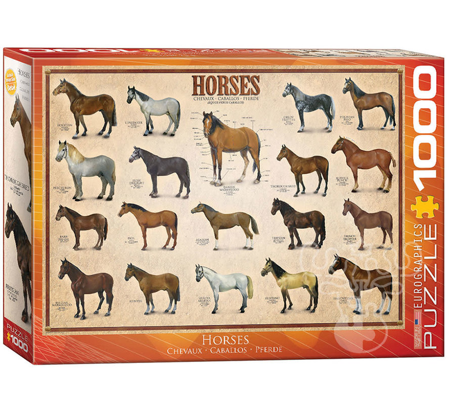 Eurographics Chart: Horses Puzzle 1000pcs