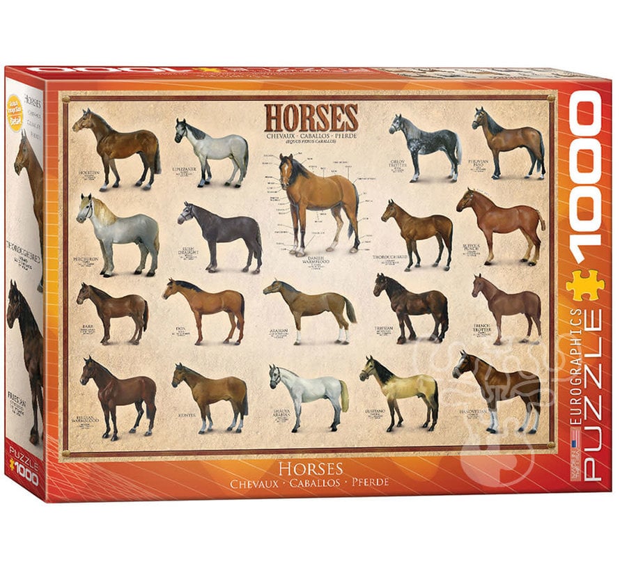 Eurographics Horses Puzzle 1000pcs