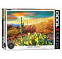 Eurographics HDR Photography: Desert Dreams Puzzle 1000pcs