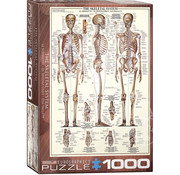Eurographics Eurographics Education: The Skeletal System Puzzle 1000pcs