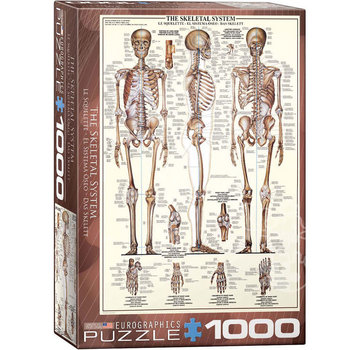 Eurographics Eurographics The Skeletal System Puzzle 1000pcs