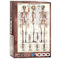 Eurographics Education: The Skeletal System Puzzle 1000pcs