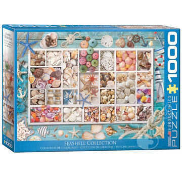 Eurographics Eurographics Seashell Collection Puzzle 1000pcs