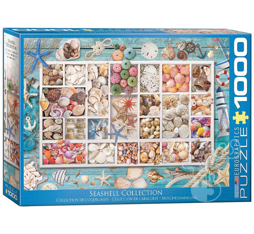 Eurographics Collection: Seashell Collection Puzzle 1000pcs