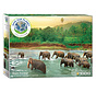 Eurographics Photography Save Our Planet Collection: Rainforest Puzzle 1000pcs RETIRED
