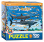 Eurographics Sharks Puzzle 100pcs