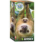 Eurographics Save Our Planet Collection: Sloths Puzzle 250pcs