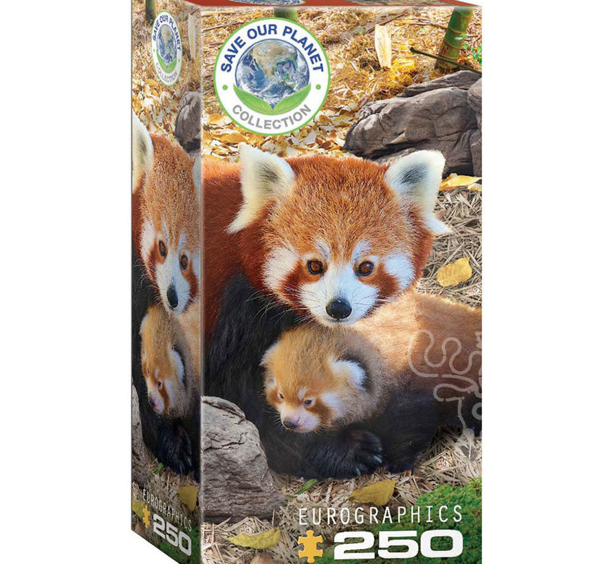 Eurographics Save Our Planet Collection: Red Panda Puzzle 250pcs