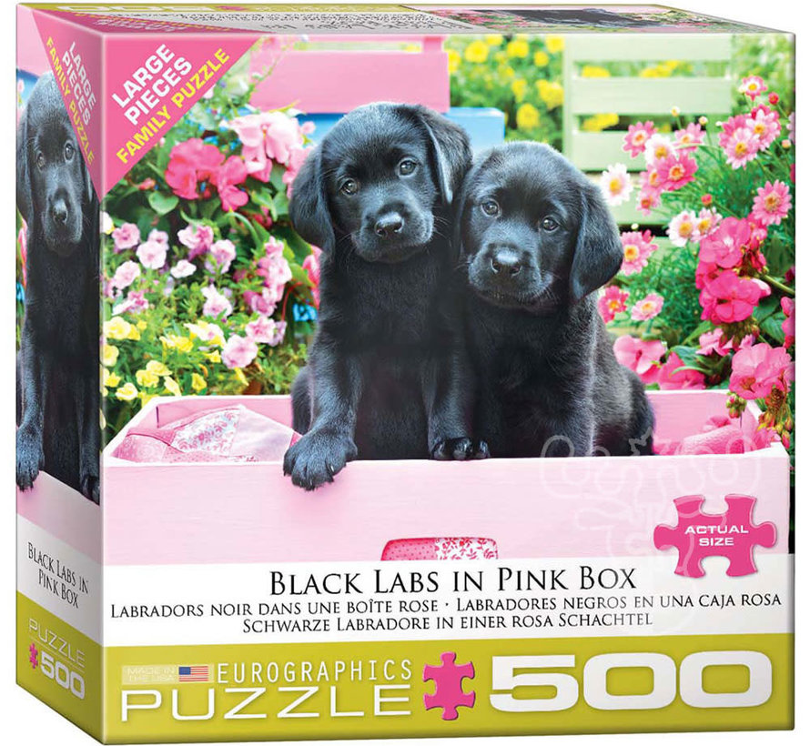 Eurographics Black Labs in Pink Box Large Pieces Family Puzzle 500pcs RETIRED