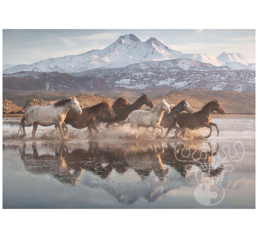 Schmidt Horses in Cappadocia Puzzle 1000pcs