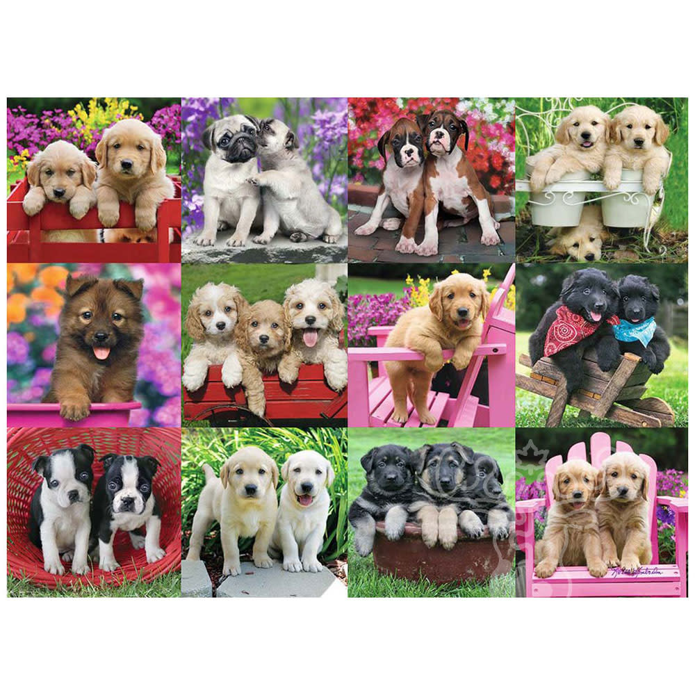 Puppy Pals, Adult Puzzles, Jigsaw Puzzles, Products