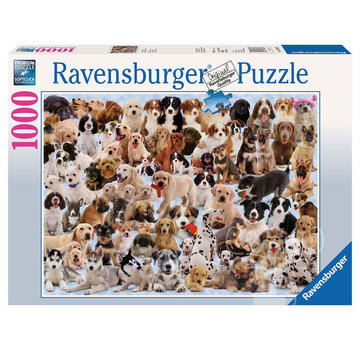 Ravensburger Ravensburger Dogs Galore! Puzzle 1000pcs