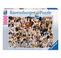 Ravensburger Dogs Galore! Puzzle 1000pcs