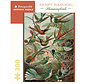 Pomegranate Haeckel, Ernst: Hummingbirds Puzzle 300pcs