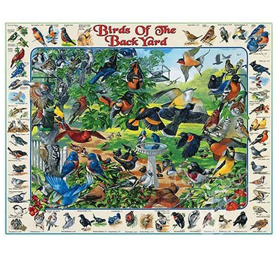 White Mountain Birds of the Backyard Puzzle 1000pcs