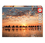 Educa Golden Sunset on Cable Beach, Australia Puzzle 1000pcs