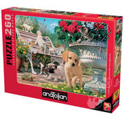 Anatolian Anatolian Pets Hide and Seek Puzzle 260pcs