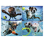 Willow Creek Underwater Dogs 2 Puzzle 1000pcs