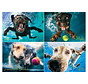 Willow Creek Underwater Dogs: Splash Puzzle 1000pcs