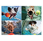 Willow Creek Underwater Dogs: Play Ball Puzzle 1000pcs