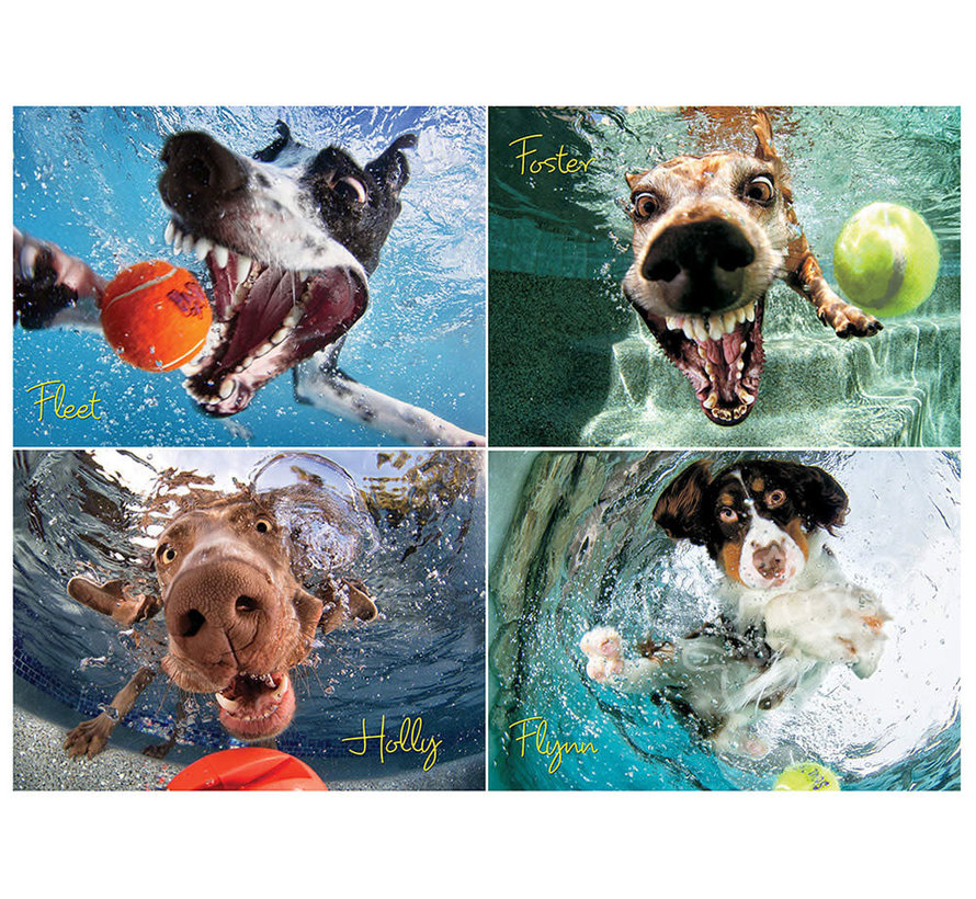 Willow Creek Underwater Dogs: Play Ball Puzzle 1000pcs