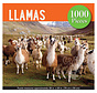 Peter Pauper Press Llamas Puzzle 1000pcs