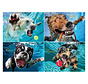 Willow Creek Underwater Dogs: Pool Pawty Puzzle 1000pcs
