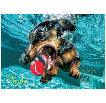 Willow Creek Willow Creek Underwater Dogs: Rhoda Puzzle 1000pcs