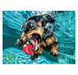 Willow Creek Underwater Dogs: Rhoda Puzzle 1000pcs