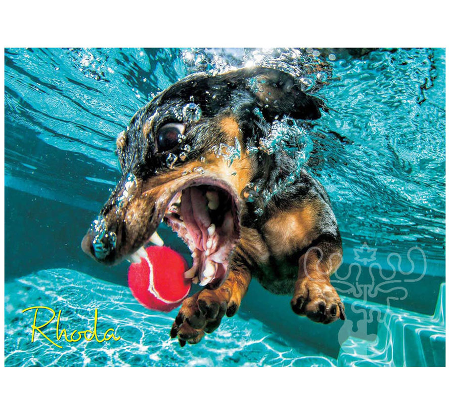 Willow Creek Underwater Dogs: Rhoda Puzzle 1000pcs