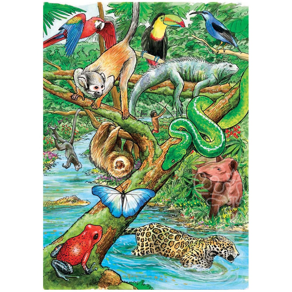 Животный и растительный мир джунглей