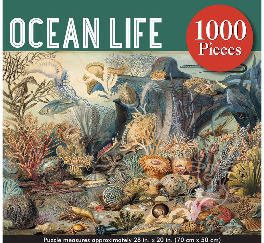 Peter Pauper Press Ocean Life Puzzle 1000pcs