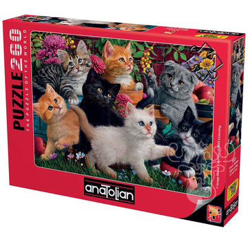 Anatolian Anatolian Kittens at Play Puzzle 260pcs