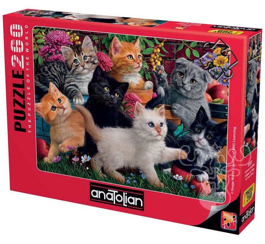 Anatolian Kittens at Play Puzzle 260pcs
