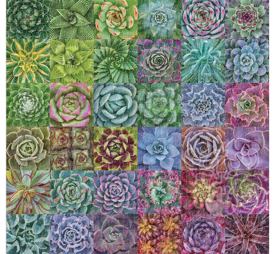 Galison Succulent Spectrum Puzzle 500pcs