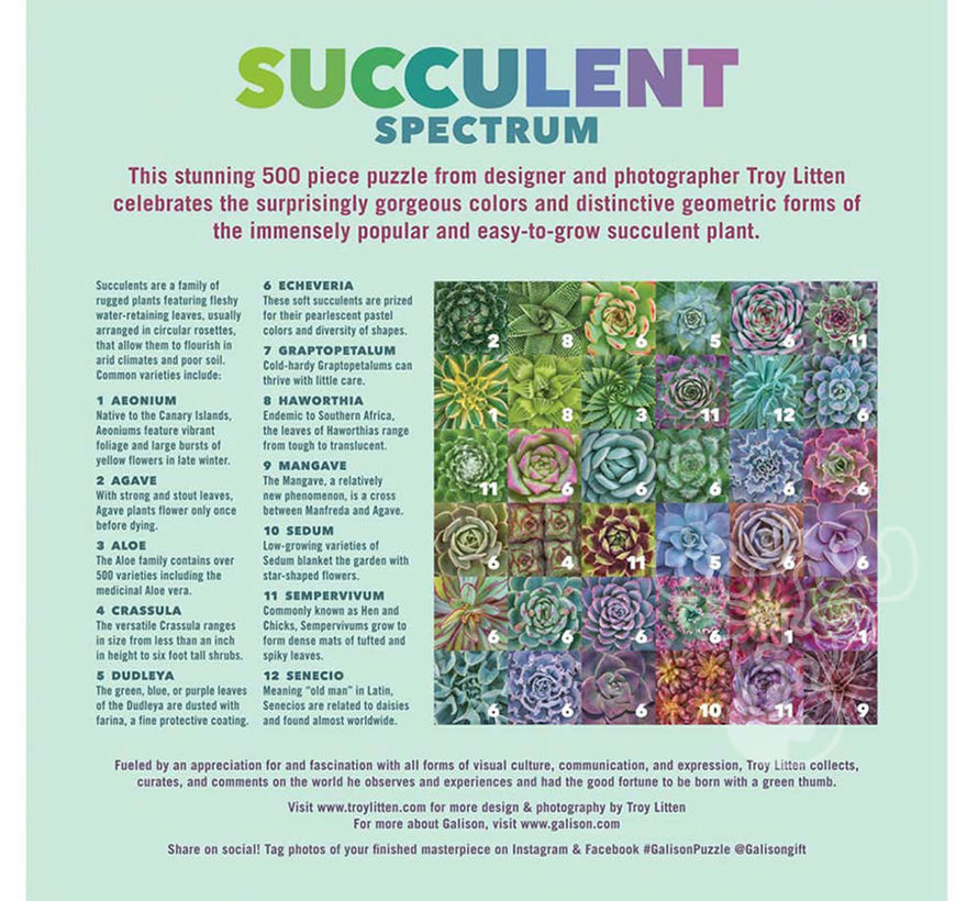 Galison Succulent Spectrum Puzzle 500pcs