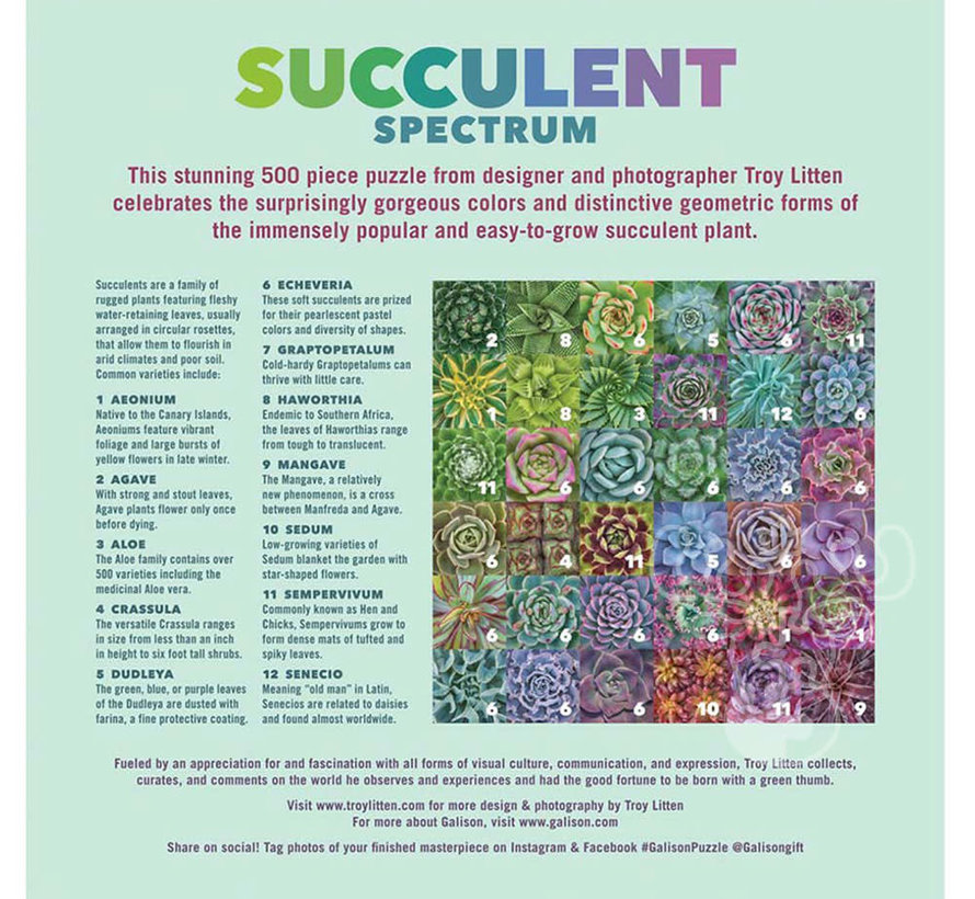 Galison Troy Litten Succulent Spectrum Puzzle 500pcs
