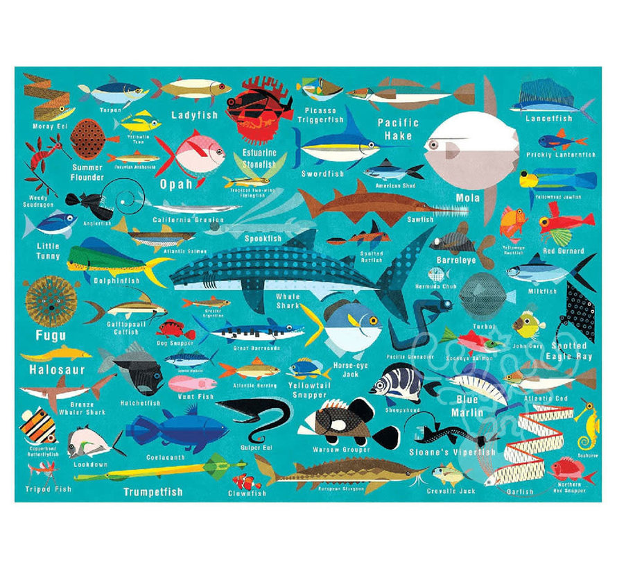 Mudpuppy Ocean Life Puzzle 1000pcs