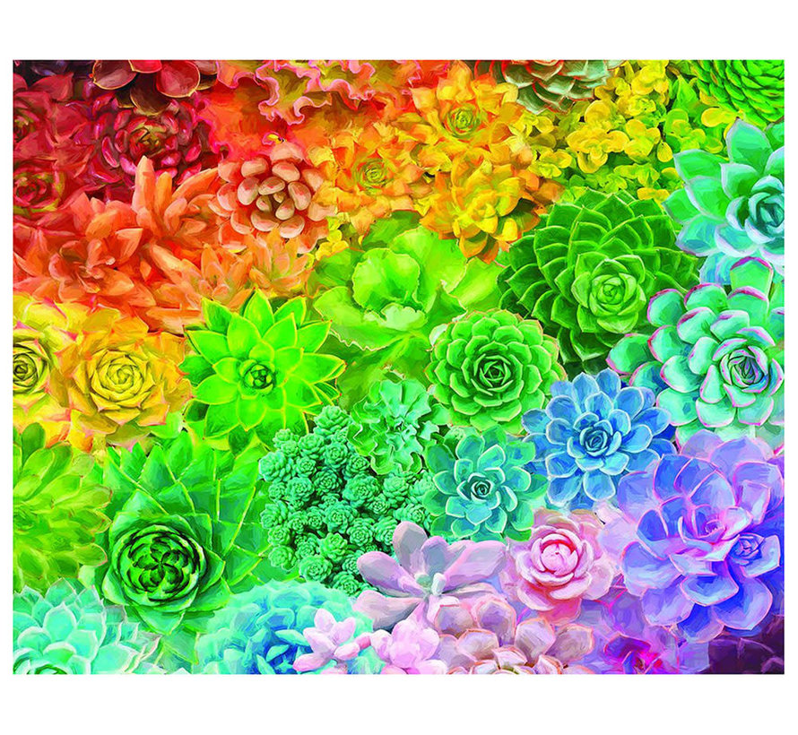 White Mountain Succulent Rainbow Puzzle 1000pcs