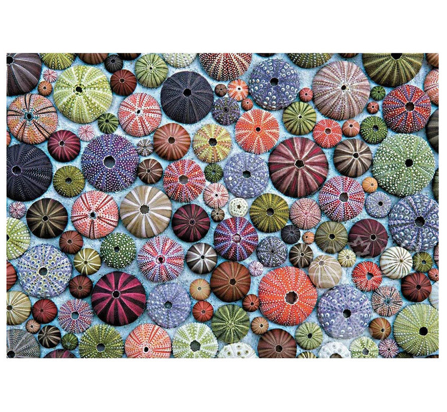 Piatnik Sea Urchins Puzzle 1000pcs