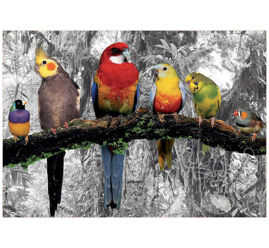 Educa Birds in the Jungle Puzzle 500pcs