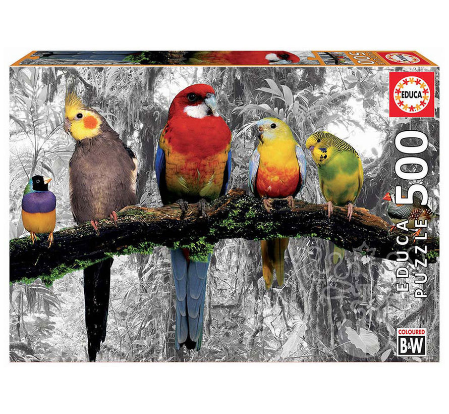 Educa Birds in the Jungle Puzzle 500pcs